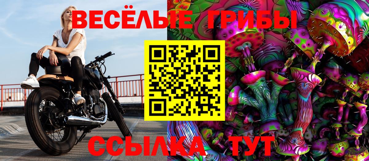 Галлюциногенные грибы Magic Shrooms Барнаул