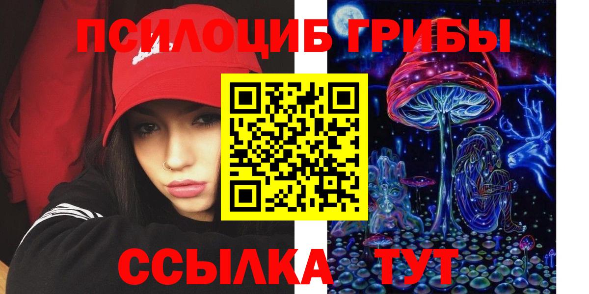 Псилоцибиновые грибы Psilocybine cubensis  Галлюциногенные грибы Psilocybe  Вход с VPN  Барнаул 