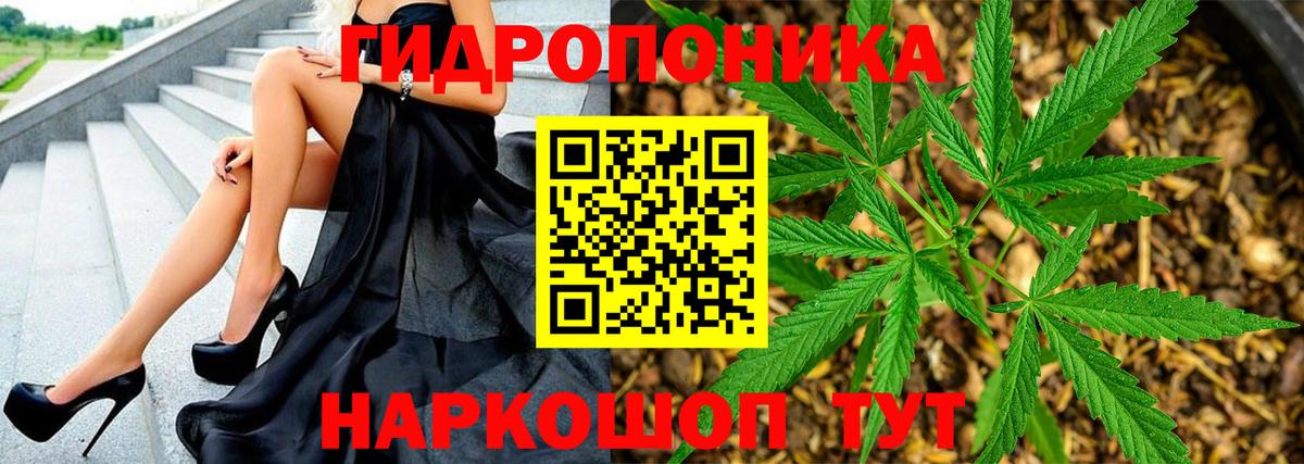 Шишки марихуана OG Kush Барнаул